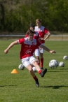 BAS 1 - DSV 1 (1/4)
