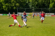 BAS - Hulshorst