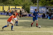 DVOV 1 - BAS 1 3/4