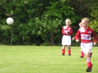 BAS F2 Kampioen