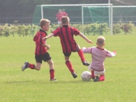 BAS F3 - Voorjaarskampioen