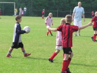 BAS F3 - Voorjaarskampioen