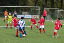 BAS JO10-1 - Unicum JO10-4