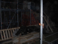 EK 2008: 2 Days After