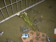 EK 2008: 2 Days After