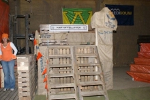 EK 2008: Nederland - Frankrijk (2)