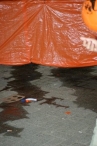 EK 2008: Nederland - Rusland (1)