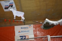 Opbouw Kartoffel Arena (7)