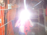 WK2006: Nederland - Ivoorkust