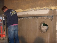 Kartoffel Arena: Opbouw