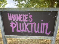 Hanneke's Pluktuin