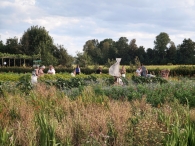 Hanneke's Pluktuin