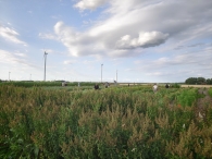 Hanneke's Pluktuin