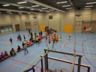 Scholenbasketbaltoernooi