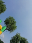 Buitenspeeldag