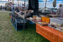Vlooienmarkt bij Flevo Nice 2026