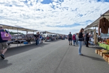 Vlooienmarkt bij Flevo Nice 2026