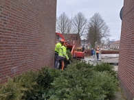 Kerstbomen versnipperen