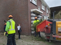 Kerstbomen versnipperen