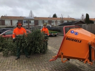 Kerstbomen versnipperen