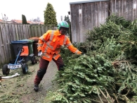 Kerstbomen versnipperen