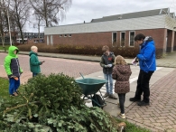 Kerstbomen versnipperen
