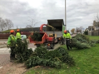 Kerstbomen versnipperen