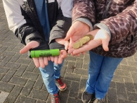 Kerstbomen versnipperen