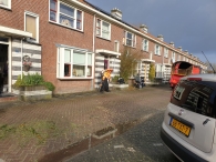 Kerstbomen versnipperen