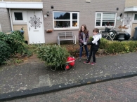 Kerstbomen versnipperen