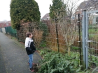 Kerstbomen versnipperen