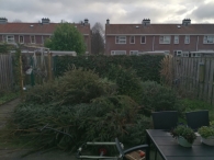 Kerstbomen versnipperen