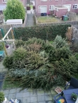 Kerstbomen versnipperen
