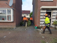 Kerstbomen versnipperen