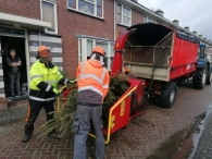 Kerstbomen versnipperen