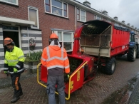 Kerstbomen versnipperen