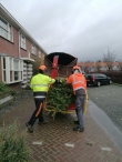 Kerstbomen versnipperen