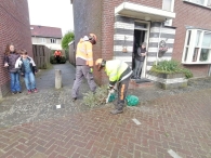 Kerstbomen versnipperen