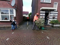 Kerstbomen versnipperen