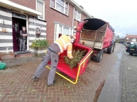 Kerstbomen versnipperen