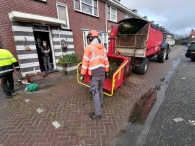 Kerstbomen versnipperen