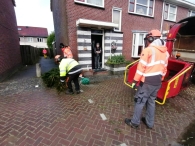 Kerstbomen versnipperen