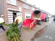Kerstbomen versnipperen