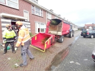 Kerstbomen versnipperen