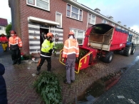 Kerstbomen versnipperen