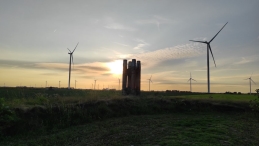 Plukavond bij Hanneke's Pluktuin