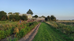 Plukavond bij Hanneke's Pluktuin