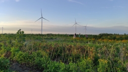 Plukavond bij Hanneke's Pluktuin