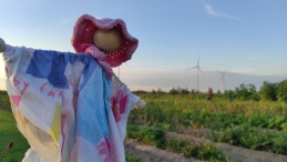 Plukavond bij Hanneke's Pluktuin