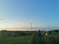 Plukavond bij Hanneke's Pluktuin